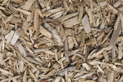 biomass boilers Ifold